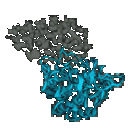 Spinning ribbon animation of the Subtilisin/SSI bound dimer